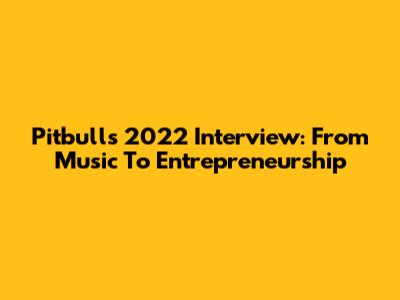 Pitbull's 2022 Interview: From Music To Entrepreneurship